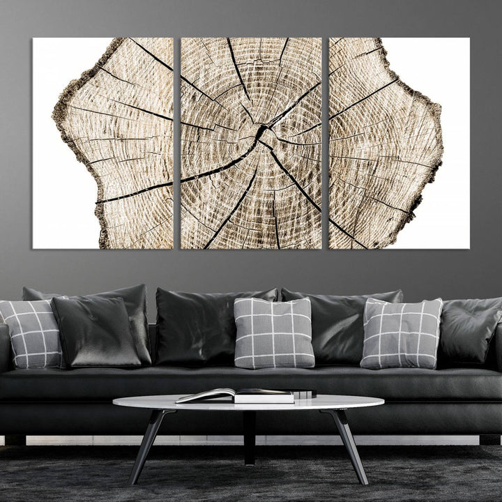 Wood Tree Ring Wall Art Canvas Prints, Lake House and Farmhouse Wall Art Decor