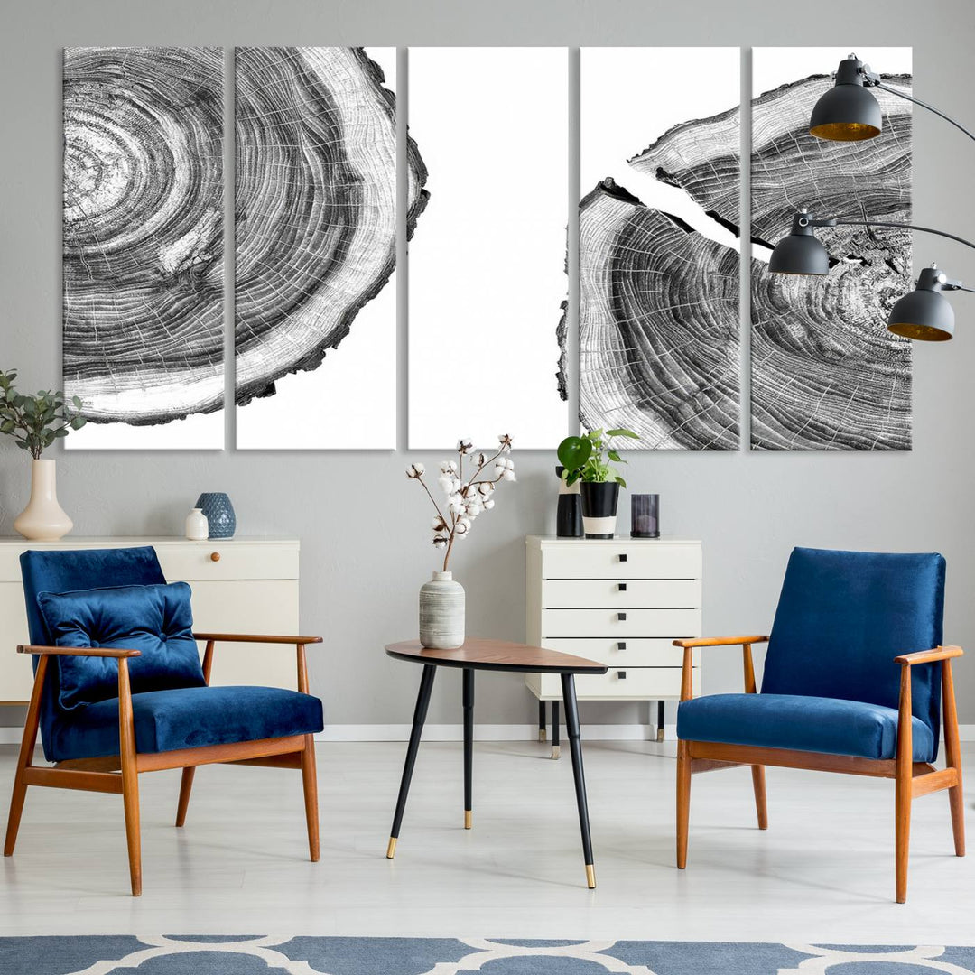 Wood Tree Ring Wall Art Canvas Prints, Lake House and Farmhouse Wall Art Decor