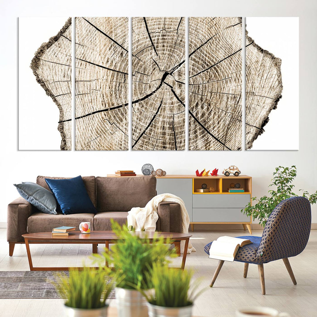 Wood Tree Ring Wall Art Canvas Prints, Lake House and Farmhouse Wall Art Decor