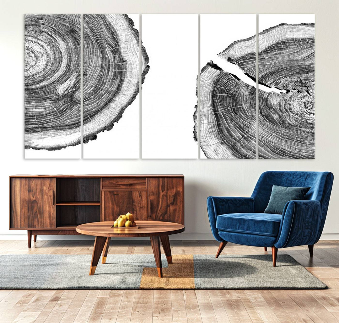 Wood Tree Ring Wall Art Canvas Prints, Lake House and Farmhouse Wall Art Decor