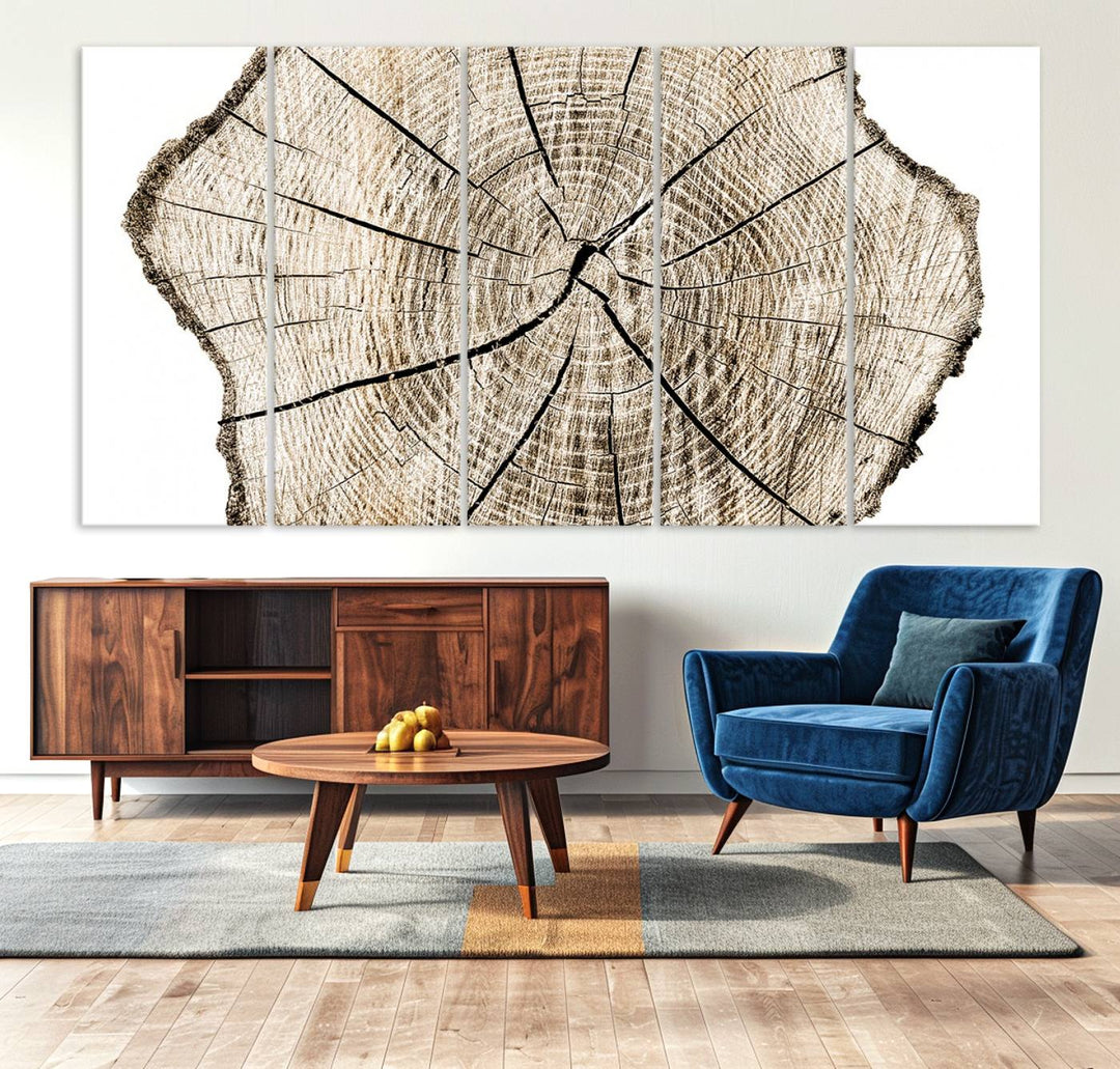 Wood Tree Ring Wall Art Canvas Prints, Lake House and Farmhouse Wall Art Decor