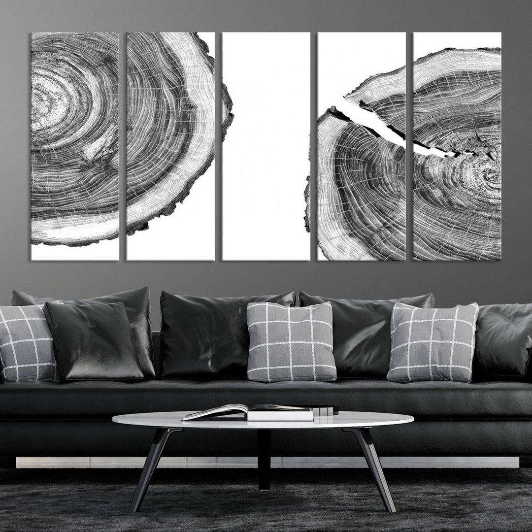 Wood Tree Ring Wall Art Canvas Prints, Lake House and Farmhouse Wall Art Decor