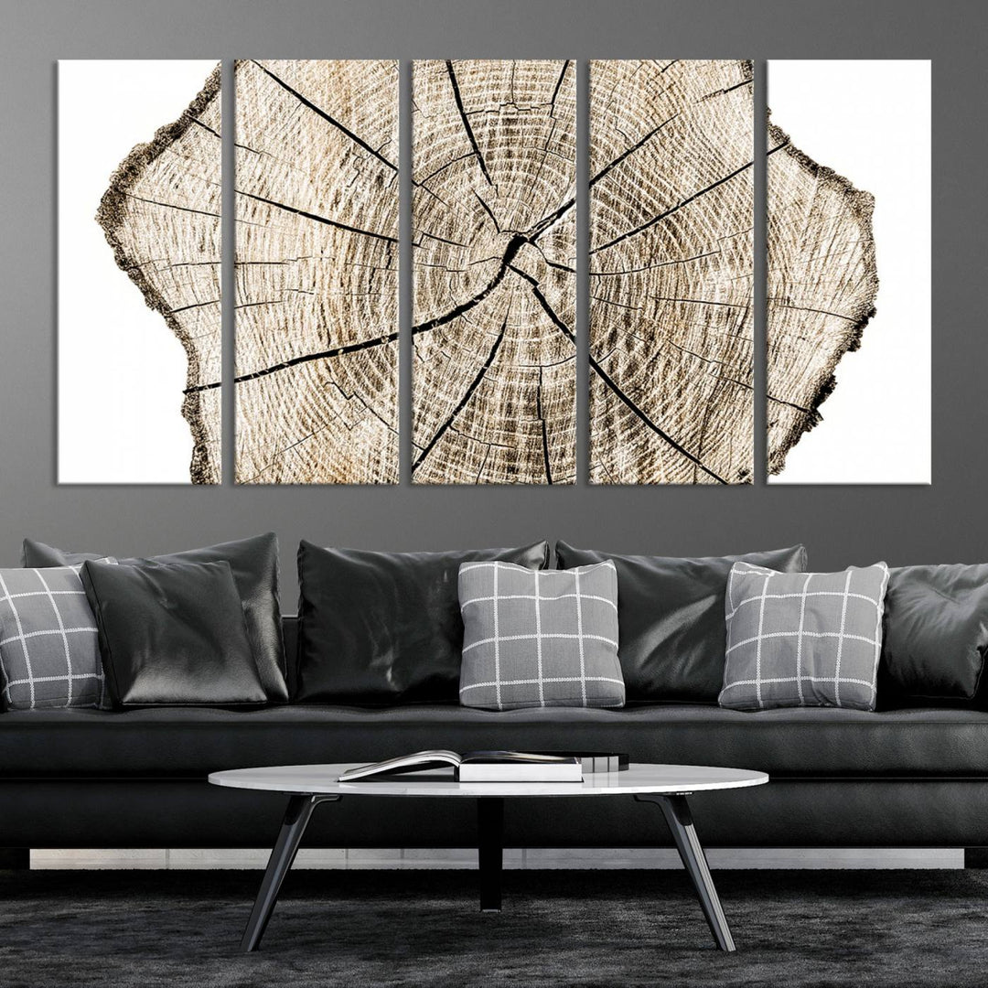 Wood Tree Ring Wall Art Canvas Prints, Lake House and Farmhouse Wall Art Decor