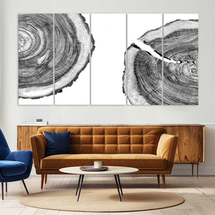 Wood Tree Ring Wall Art Canvas Prints, Lake House and Farmhouse Wall Art Decor