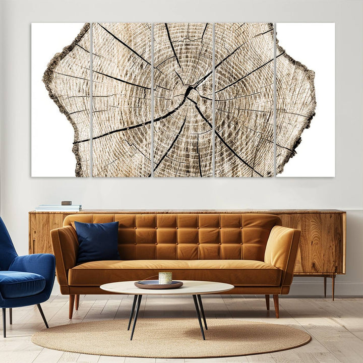 Wood Tree Ring Wall Art Canvas Prints, Lake House and Farmhouse Wall Art Decor