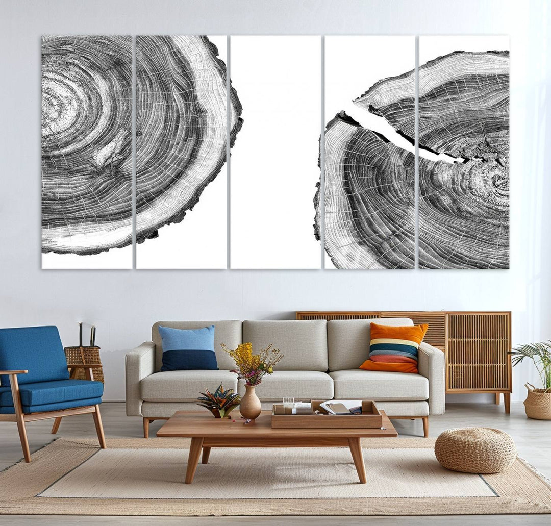 Wood Tree Ring Wall Art Canvas Prints, Lake House and Farmhouse Wall Art Decor