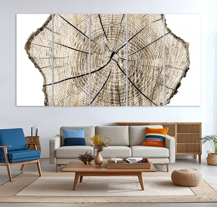 Wood Tree Ring Wall Art Canvas Prints, Lake House and Farmhouse Wall Art Decor