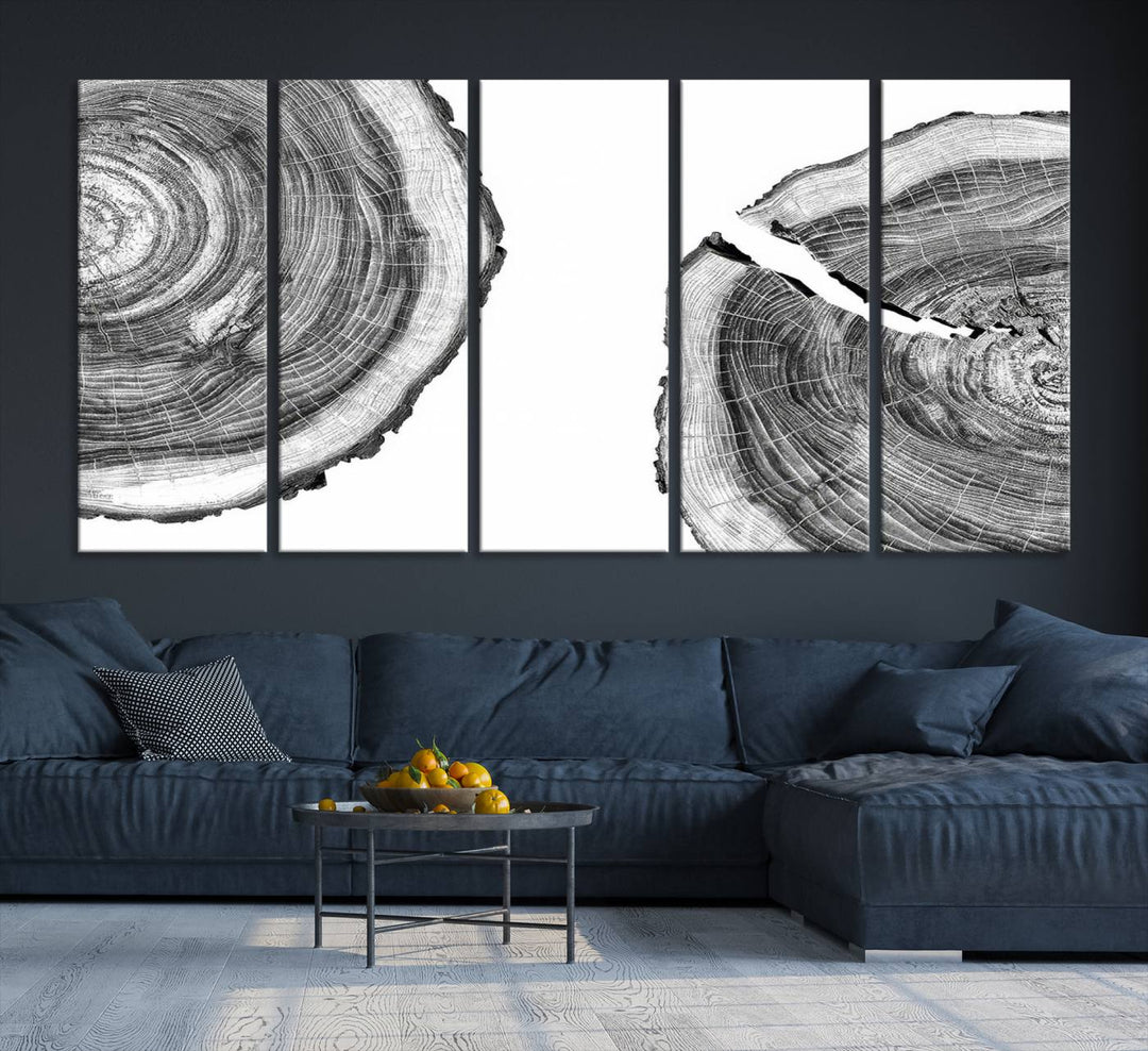 Wood Tree Ring Wall Art Canvas Prints, Lake House and Farmhouse Wall Art Decor