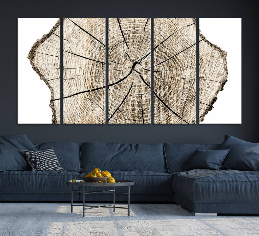 Wood Tree Ring Wall Art Canvas Prints, Lake House and Farmhouse Wall Art Decor