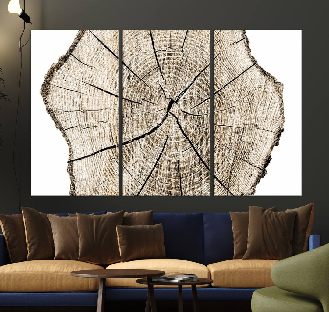 Wood Tree Ring Wall Art Canvas Prints, Lake House and Farmhouse Wall Art Decor