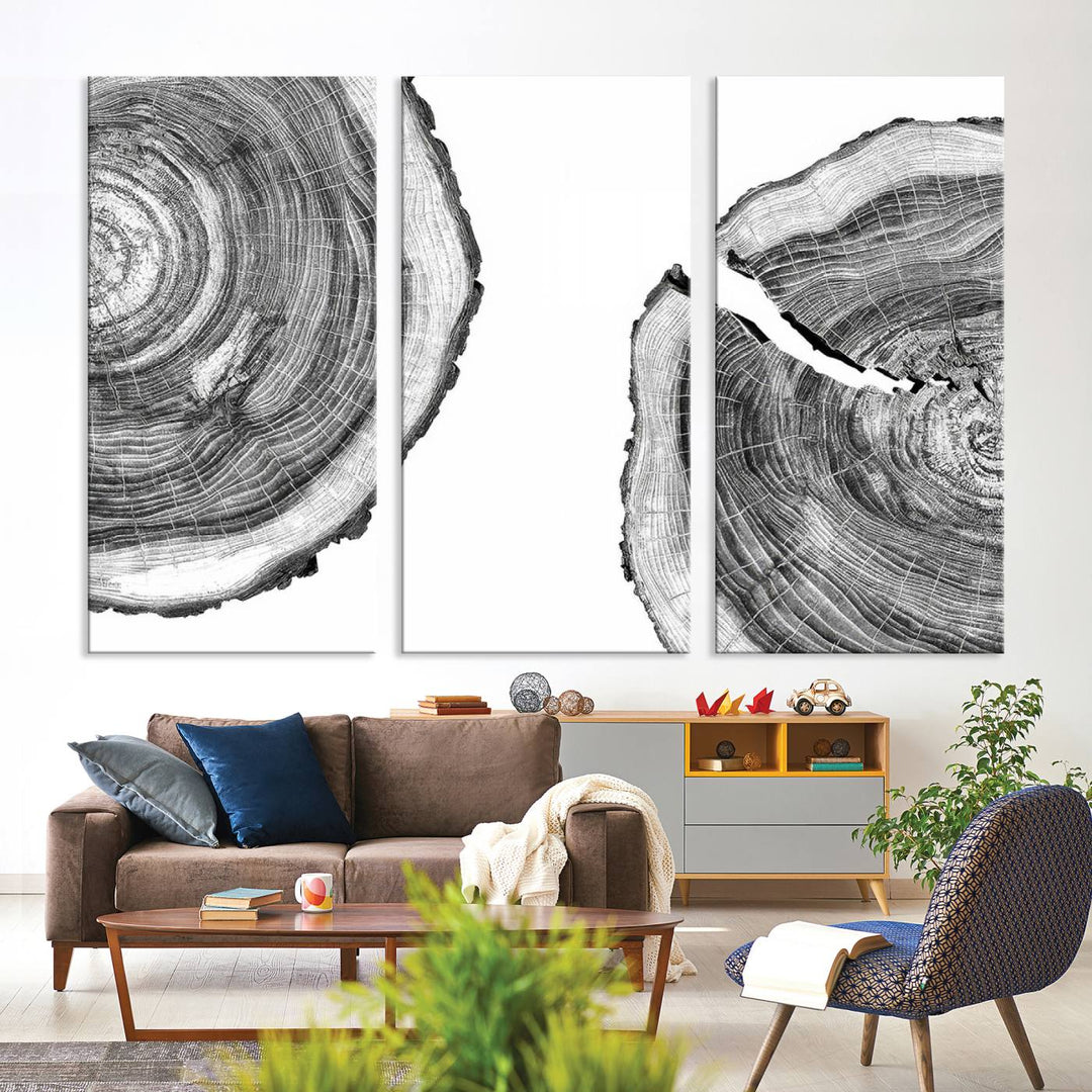 Wood Tree Ring Wall Art Canvas Prints, Lake House and Farmhouse Wall Art Decor