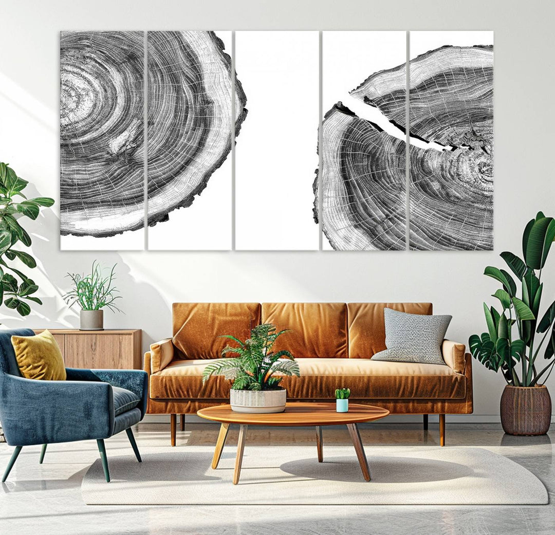 Wood Tree Ring Wall Art Canvas Prints, Lake House and Farmhouse Wall Art Decor