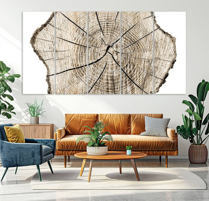 Wood Tree Ring Wall Art Canvas Prints, Lake House and Farmhouse Wall Art Decor