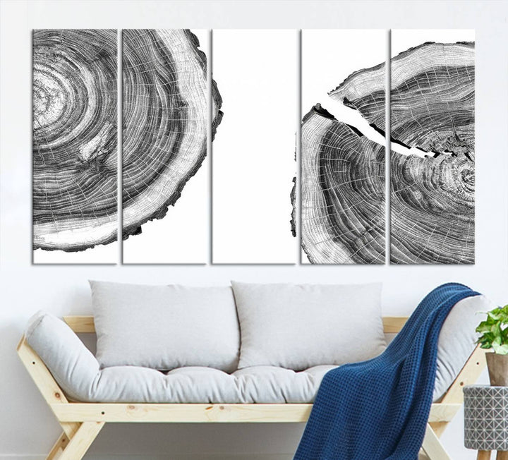 Wood Tree Ring Wall Art Canvas Prints, Lake House and Farmhouse Wall Art Decor