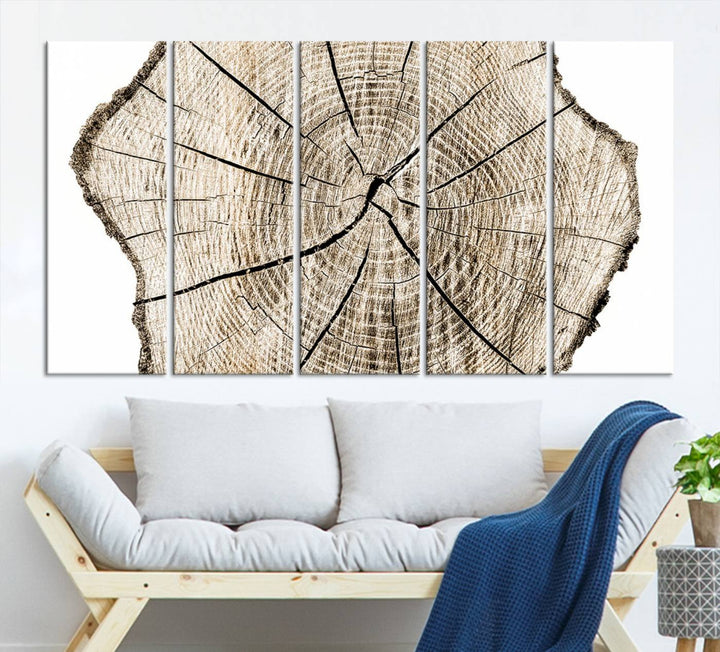 Wood Tree Ring Wall Art Canvas Prints, Lake House and Farmhouse Wall Art Decor