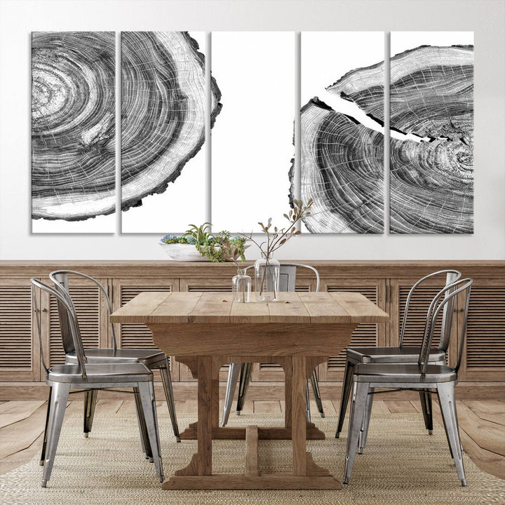 Wood Tree Ring Wall Art Canvas Prints, Lake House and Farmhouse Wall Art Decor