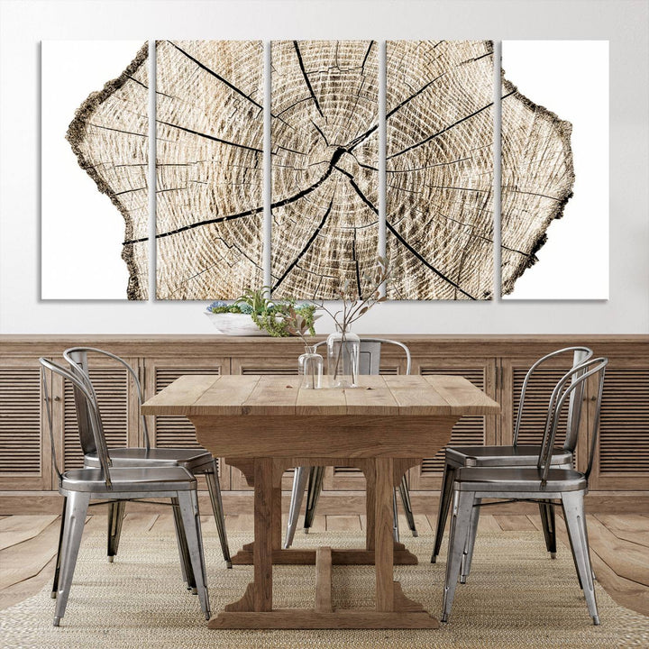 Wood Tree Ring Wall Art Canvas Prints, Lake House and Farmhouse Wall Art Decor