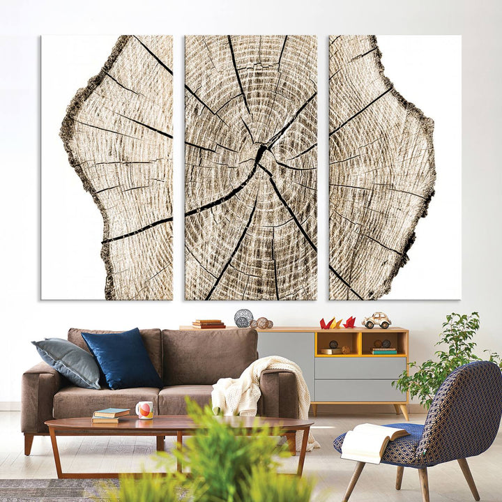 Wood Tree Ring Wall Art Canvas Prints, Lake House and Farmhouse Wall Art Decor