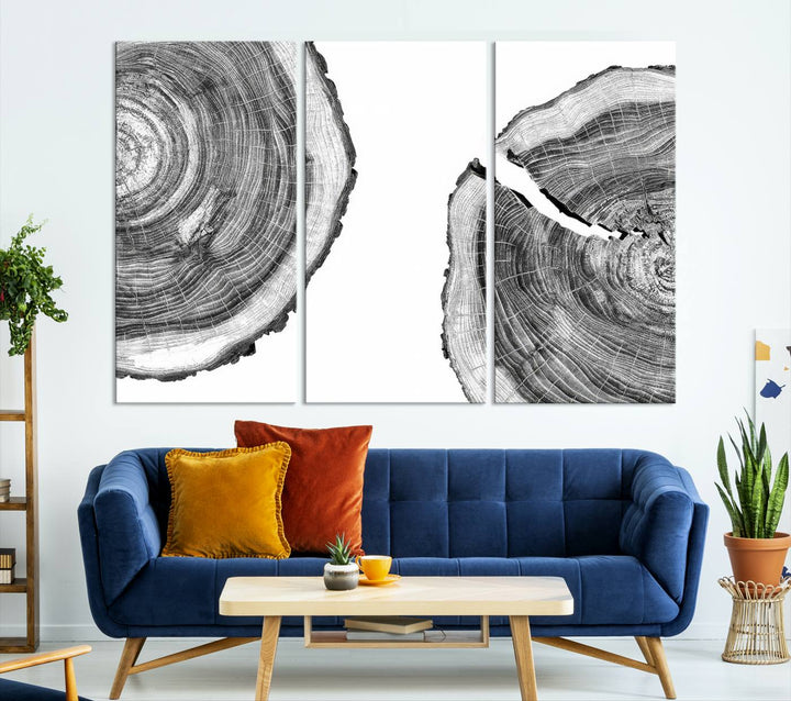 Wood Tree Ring Wall Art Canvas Prints, Lake House and Farmhouse Wall Art Decor