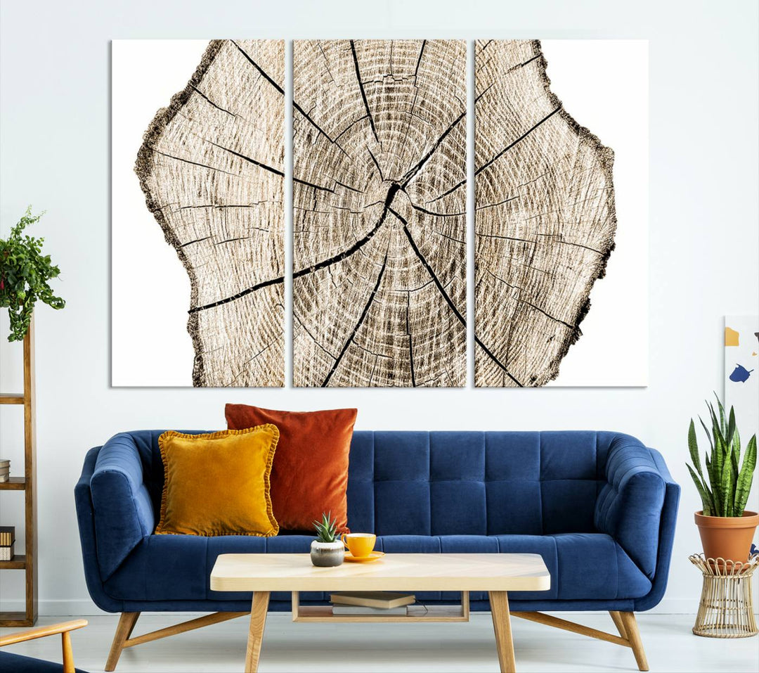 Wood Tree Ring Wall Art Canvas Prints, Lake House and Farmhouse Wall Art Decor