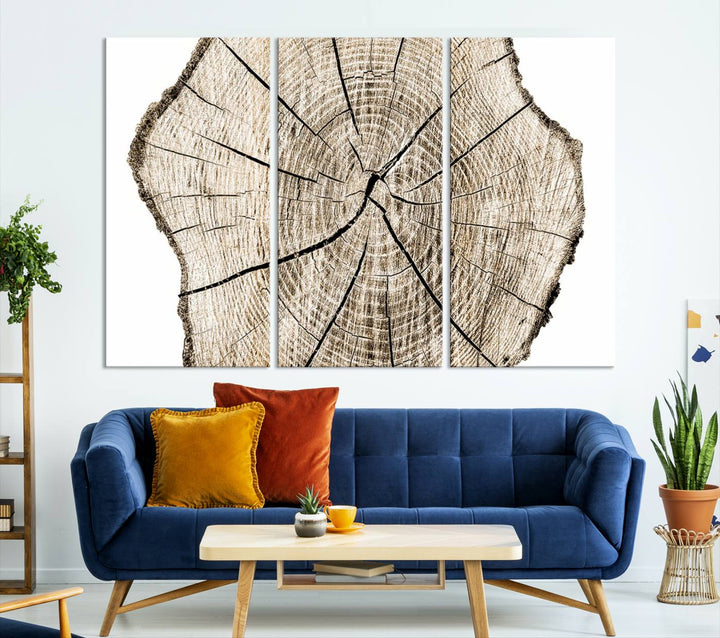 Wood Tree Ring Wall Art Canvas Prints, Lake House and Farmhouse Wall Art Decor