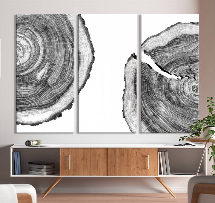 Wood Tree Ring Wall Art Canvas Prints, Lake House and Farmhouse Wall Art Decor