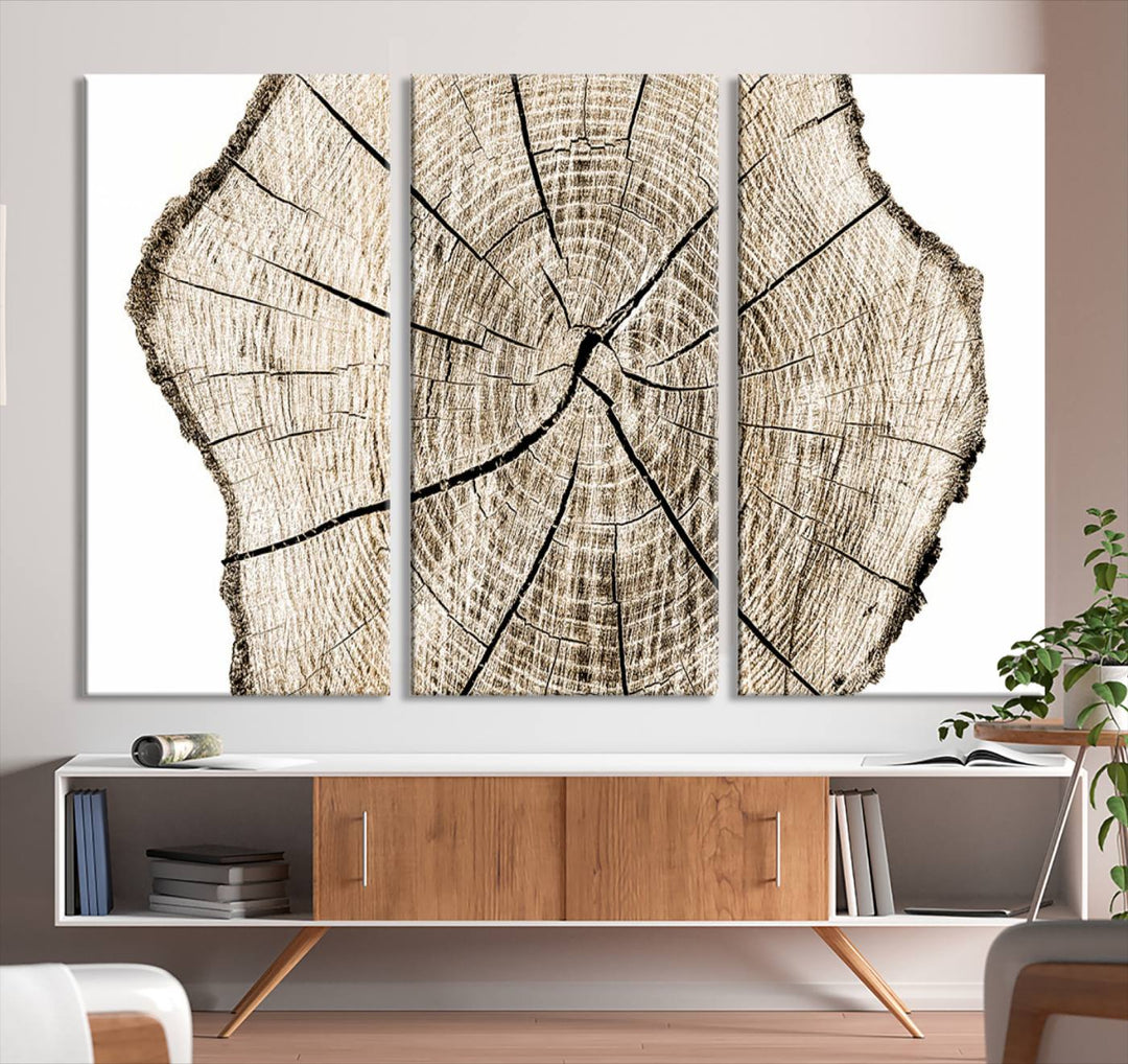 Wood Tree Ring Wall Art Canvas Prints, Lake House and Farmhouse Wall Art Decor