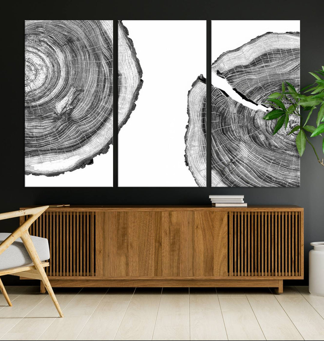 Wood Tree Ring Wall Art Canvas Prints, Lake House and Farmhouse Wall Art Decor