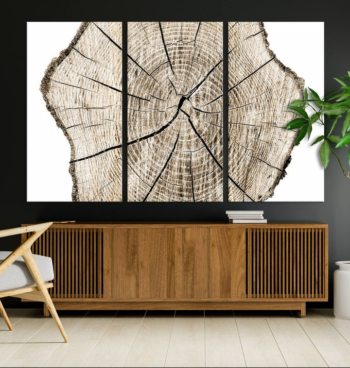 Wood Tree Ring Wall Art Canvas Prints, Lake House and Farmhouse Wall Art Decor