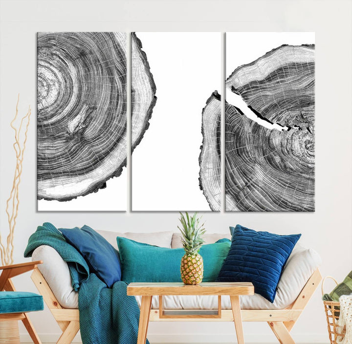 Wood Tree Ring Wall Art Canvas Prints, Lake House and Farmhouse Wall Art Decor