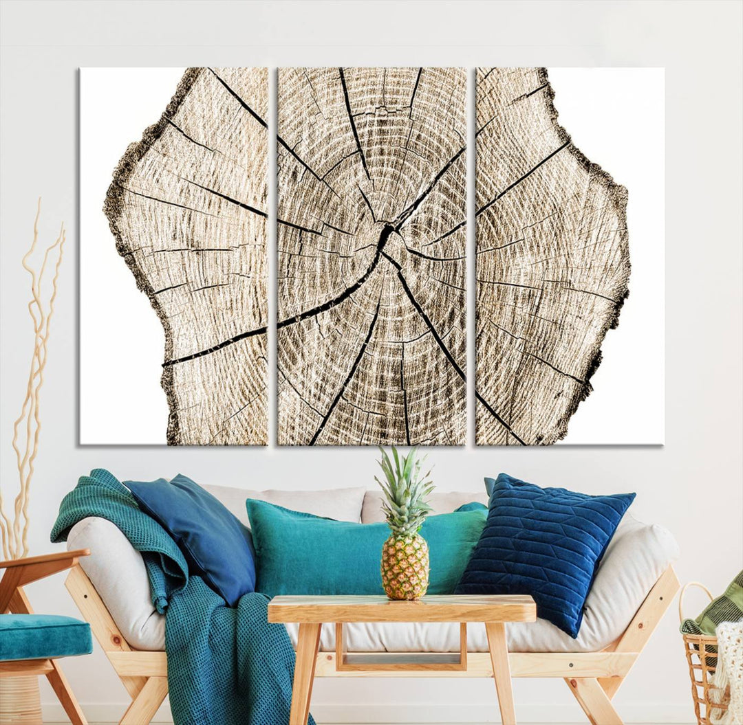 Wood Tree Ring Wall Art Canvas Prints, Lake House and Farmhouse Wall Art Decor