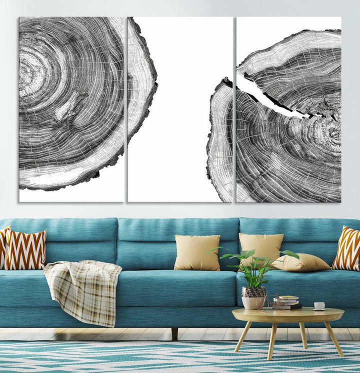 Wood Tree Ring Wall Art Canvas Prints, Lake House and Farmhouse Wall Art Decor