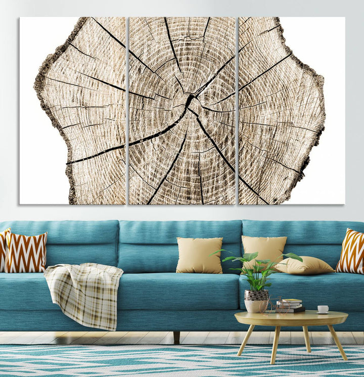 Wood Tree Ring Wall Art Canvas Prints, Lake House and Farmhouse Wall Art Decor