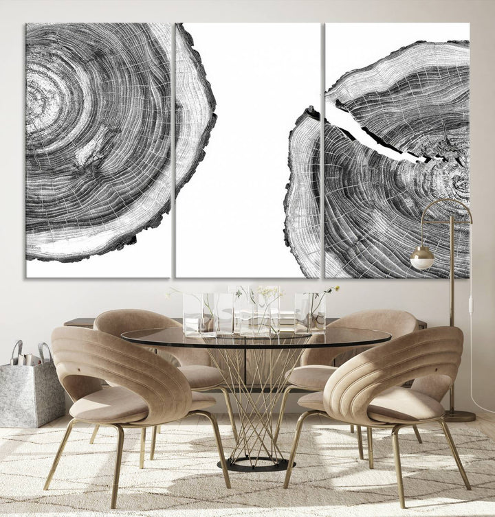 Wood Tree Ring Wall Art Canvas Prints, Lake House and Farmhouse Wall Art Decor