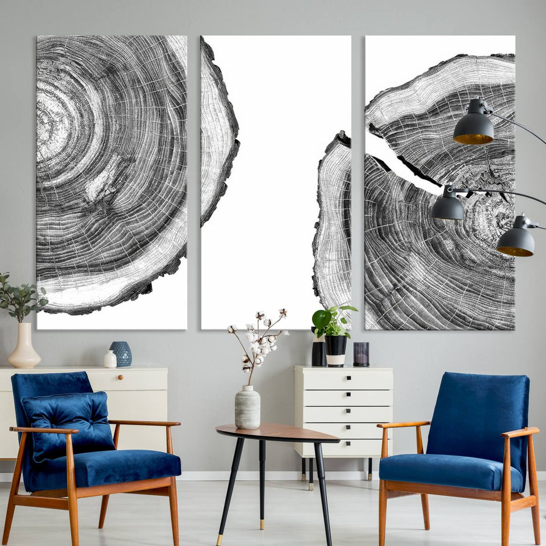 Wood Tree Ring Wall Art Canvas Prints, Lake House and Farmhouse Wall Art Decor