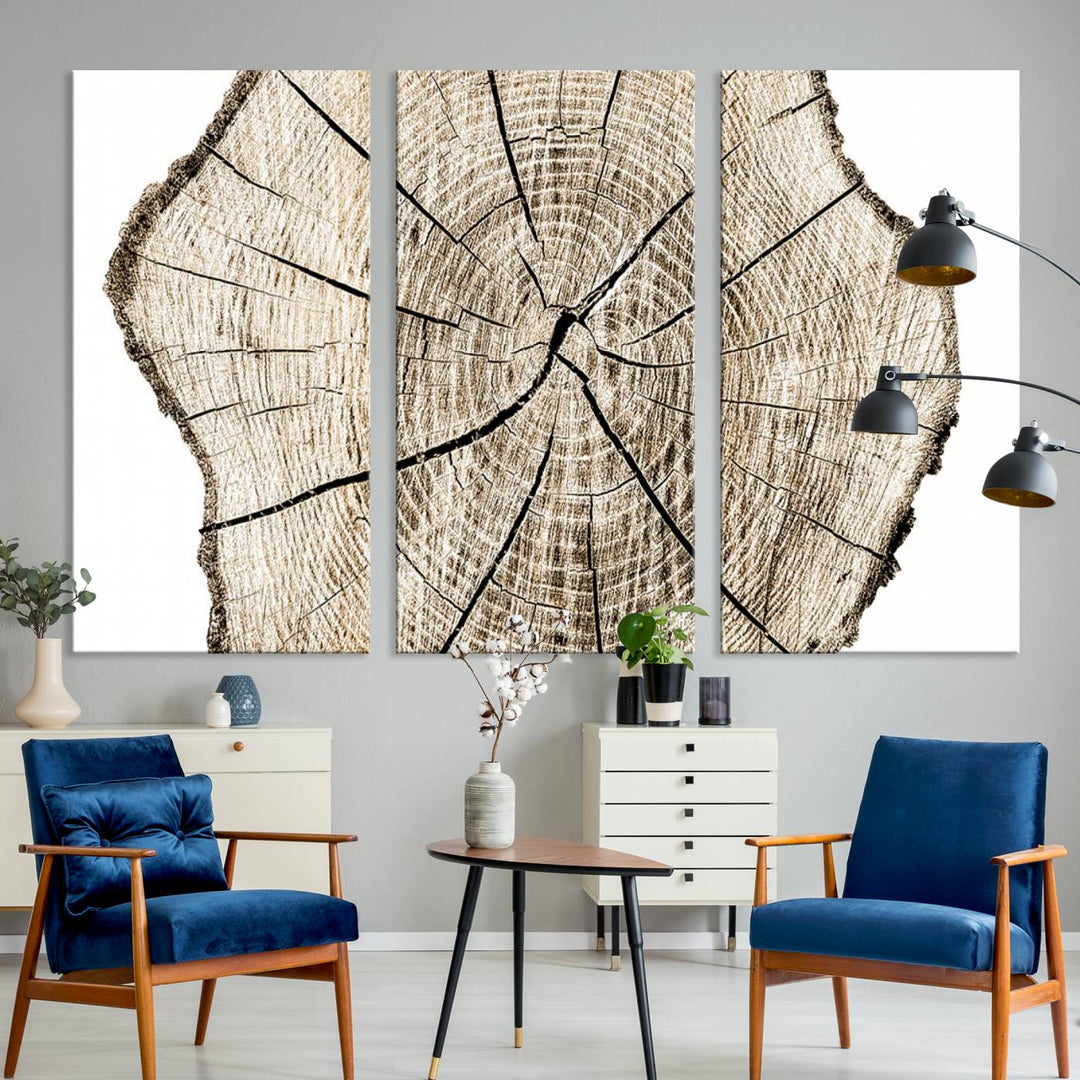 Wood Tree Ring Wall Art Canvas Prints, Lake House and Farmhouse Wall Art Decor