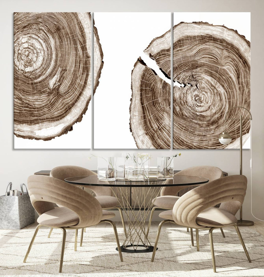 Wood Tree Ring Wall Art Canvas Prints, Lake House and Farmhouse Wall Art Print