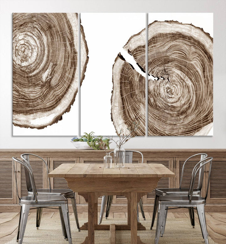 Wood Tree Ring Wall Art Canvas Prints, Lake House and Farmhouse Wall Art Print