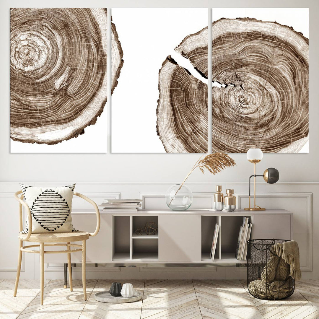 Wood Tree Ring Wall Art Canvas Prints, Lake House and Farmhouse Wall Art Print