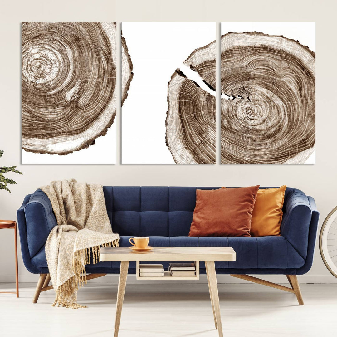 Wood Tree Ring Wall Art Canvas Prints, Lake House and Farmhouse Wall Art Print