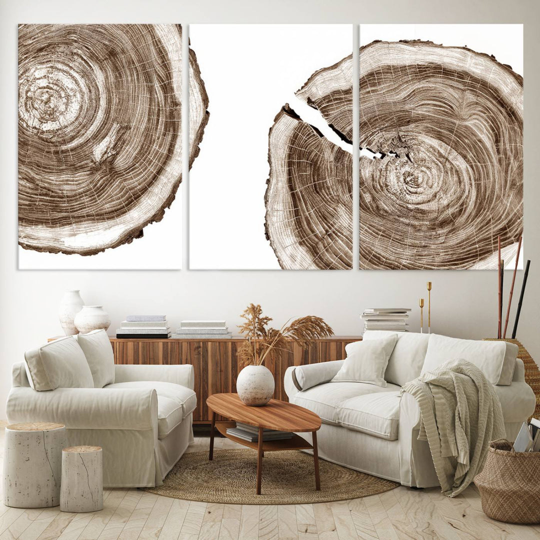 Wood Tree Ring Wall Art Canvas Prints, Lake House and Farmhouse Wall Art Print