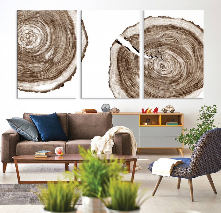 Wood Tree Ring Wall Art Canvas Prints, Lake House and Farmhouse Wall Art Print