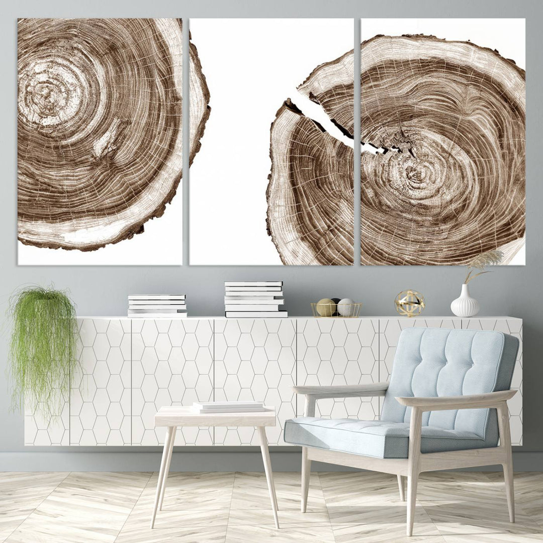 Wood Tree Ring Wall Art Canvas Prints, Lake House and Farmhouse Wall Art Print