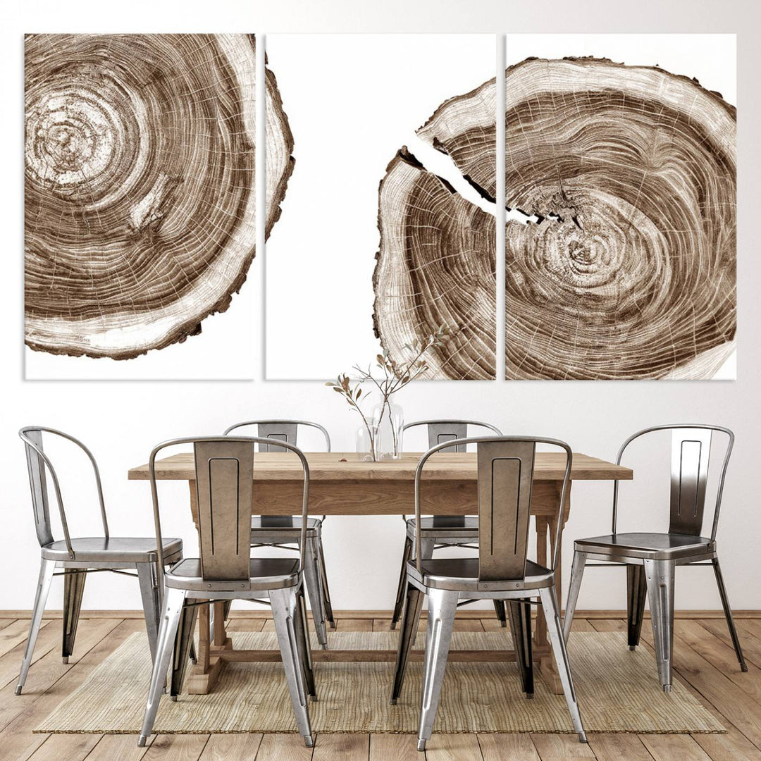 Wood Tree Ring Wall Art Canvas Prints, Lake House and Farmhouse Wall Art Print