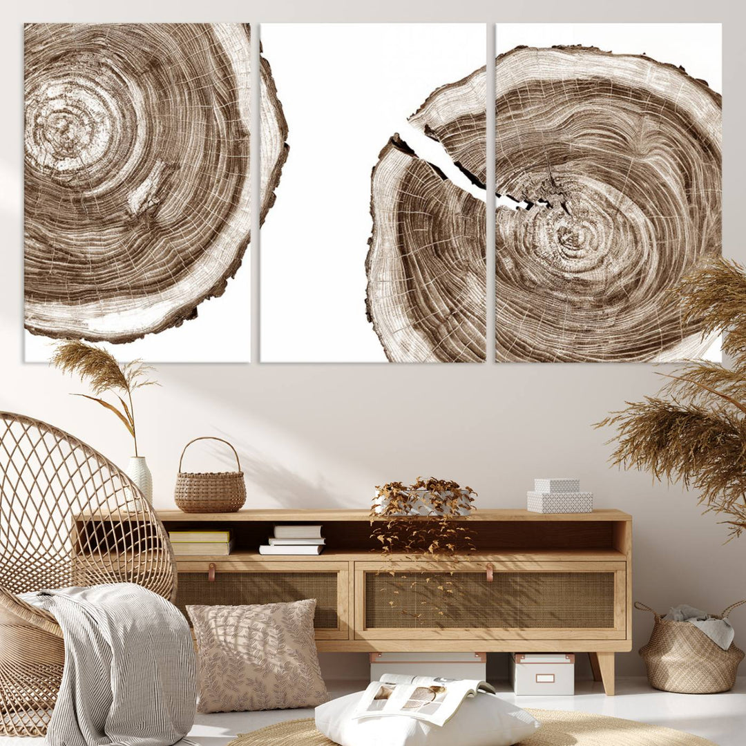 Wood Tree Ring Wall Art Canvas Prints, Lake House and Farmhouse Wall Art Print