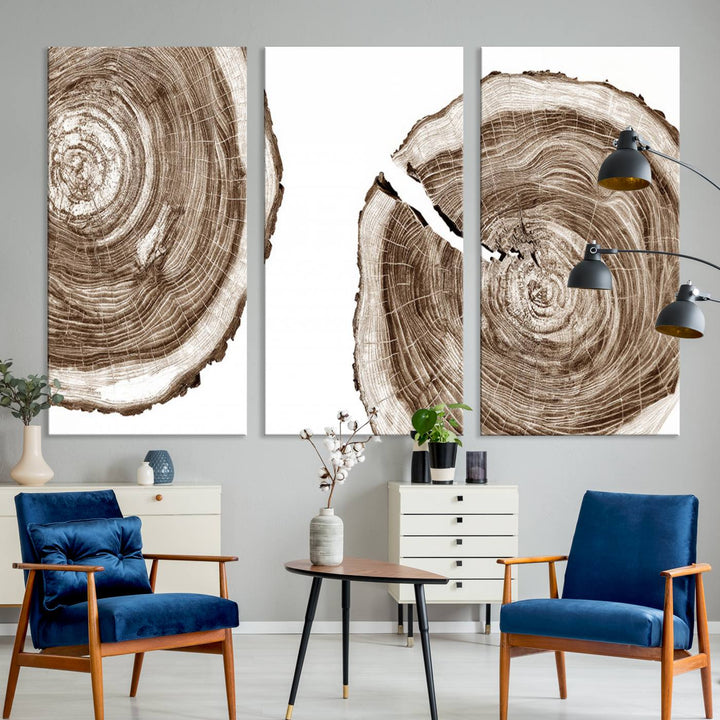 Wood Tree Ring Wall Art Canvas Prints, Lake House and Farmhouse Wall Art Print