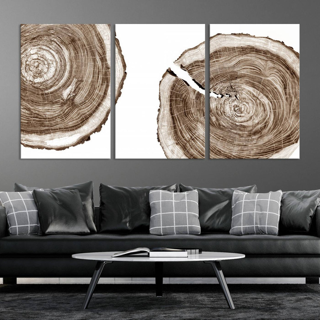 Wood Tree Ring Wall Art Canvas Prints, Lake House and Farmhouse Wall Art Print