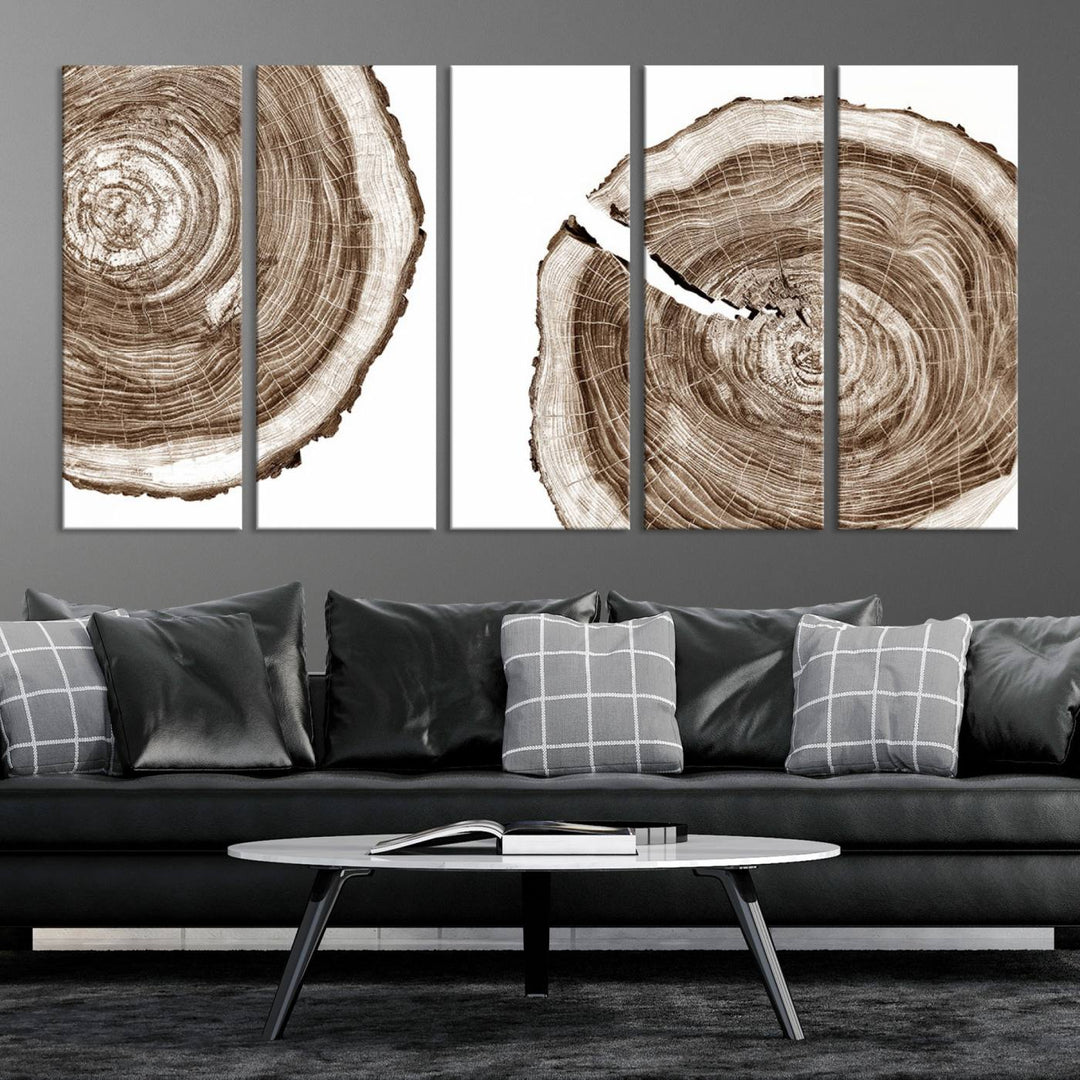 Wood Tree Ring Wall Art Canvas Prints, Lake House and Farmhouse Wall Art Print