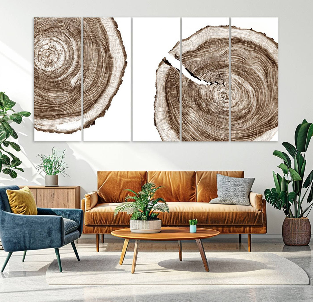 Wood Tree Ring Wall Art Canvas Prints, Lake House and Farmhouse Wall Art Print