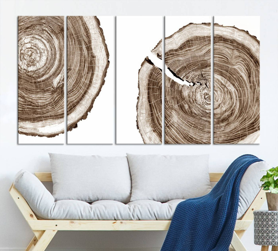 Wood Tree Ring Wall Art Canvas Prints, Lake House and Farmhouse Wall Art Print